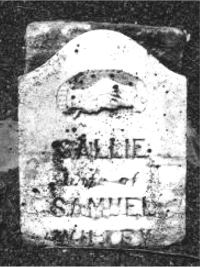 Sallie Crouse Willey gravestone