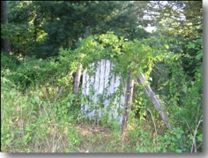 Chesley Cheek Cemetery