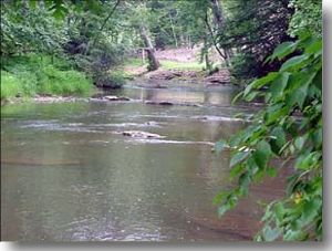 Little River in Alleghany County